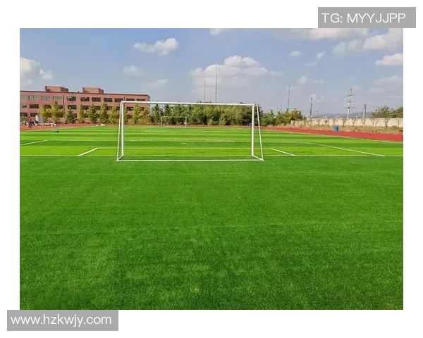 专业足球场建造单位助力体育事业发展打造高标准足球场地环境