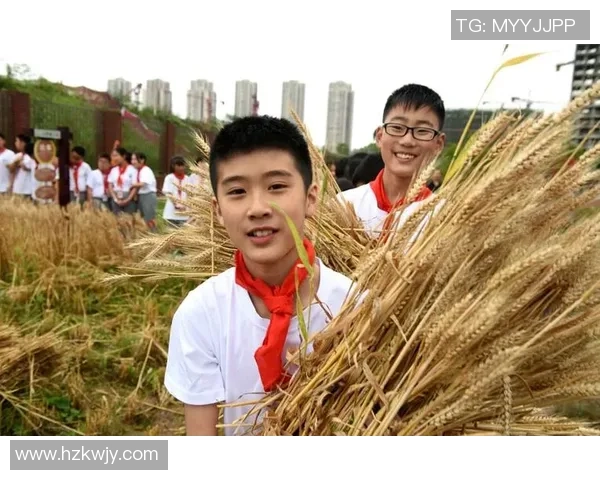 割麦子足球的魅力与乡村文化的深厚联系探讨