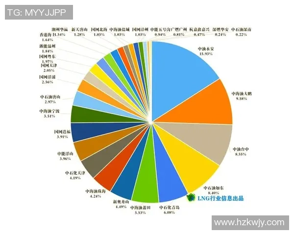 独家解析LNG市场意识的差异与发展趋势探讨